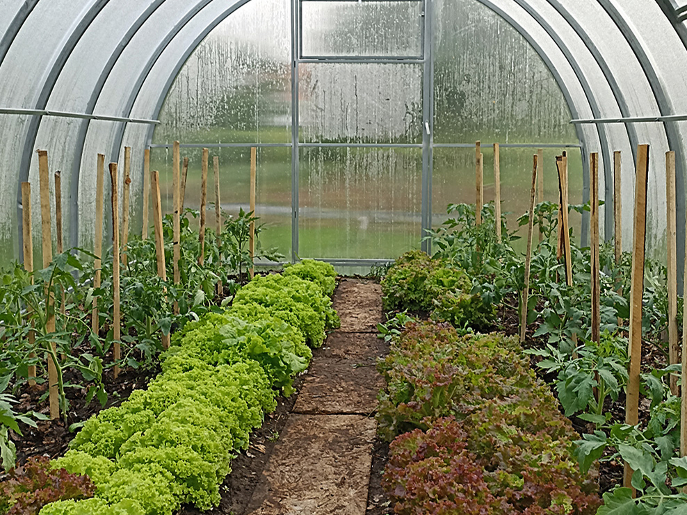 Siltumnīcā izmantoti permakultūras principi.