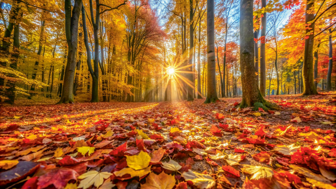 Mednieku kalendārs novembrim.