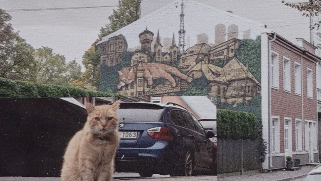 Attēli no izstādes “Dzīvnieki Rīgā: lietot un lolot?”