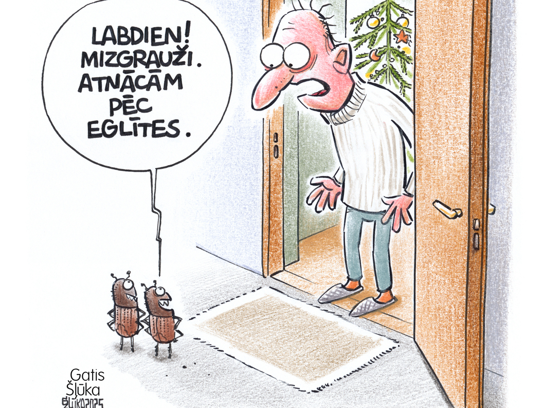 Zīmē Gatis Šļūka. Eglīte mizgrauzim