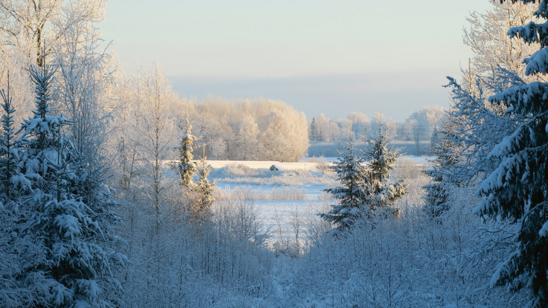 Ziemas ainava.