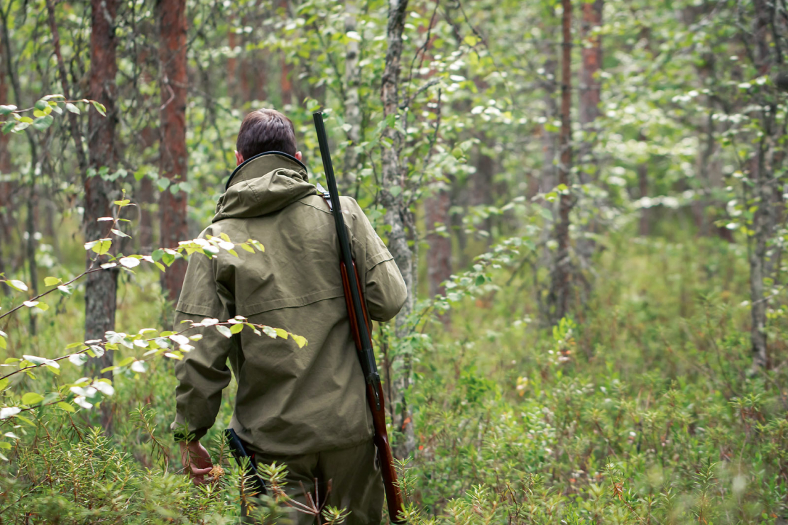Latvijas valsts mežu atbildīgās amatpersonas medniekiem piedāvā medību tiesību nomas līgumus, kas medniekiem nav pieņemami un neliecina par vēlmi sadarboties ilgtermiņā. Ilustratīvs attēls.