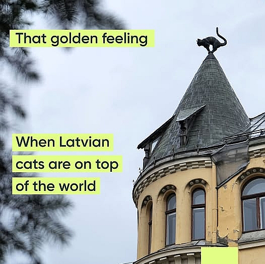 Latvijas Televīzijas "Panorāmas" diktori ietērpjas kreklos ar Kaķa attēlu, top maisiņi gan ar "Straumes" Kaķi, gan vienkārši melna kaķa attēlu (uzņēmuma "Latvijas tekstils" ražojums), "Karameļu darbnīca" taisa ledenes, kāds rada brošu, Rīgas investīciju un tūrisma aģentūra feisbuka lapā "Live Riga" publicē sveicienu Kaķim no "vietējā brāļa no citas mātes" – Vecrīgas nama jumta kaķa. Kaķa tēls parādās neskaitāmās vietās un droši vien parādīsies vēl.