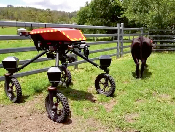 'SwagBot' - robots gans.