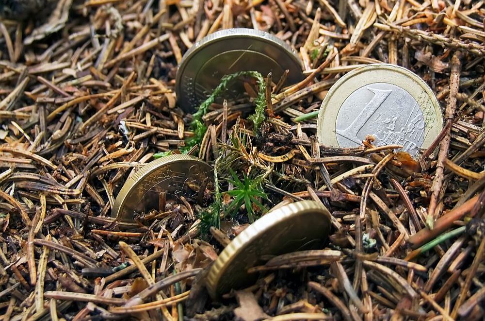 Gan "Sodra", gan pārējie Zviedrijas uzņēmumi pēdējo trīs gadu laikā, t. i. Krievijas uzsāktā kara laikā, turpinājuši iepirkt jaunas meža zemes platības no Latvijas uzņēmumiem un privātpersonām.