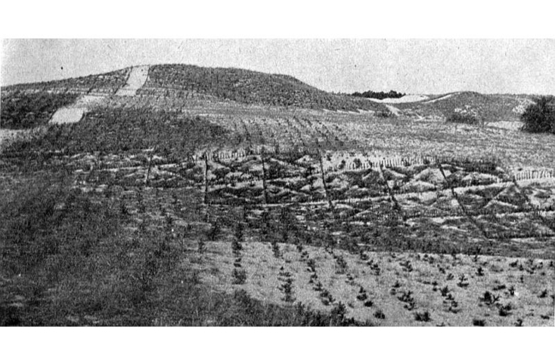 Kāpu nostiprināšana Pierīgā 20. gs. 30. gados.