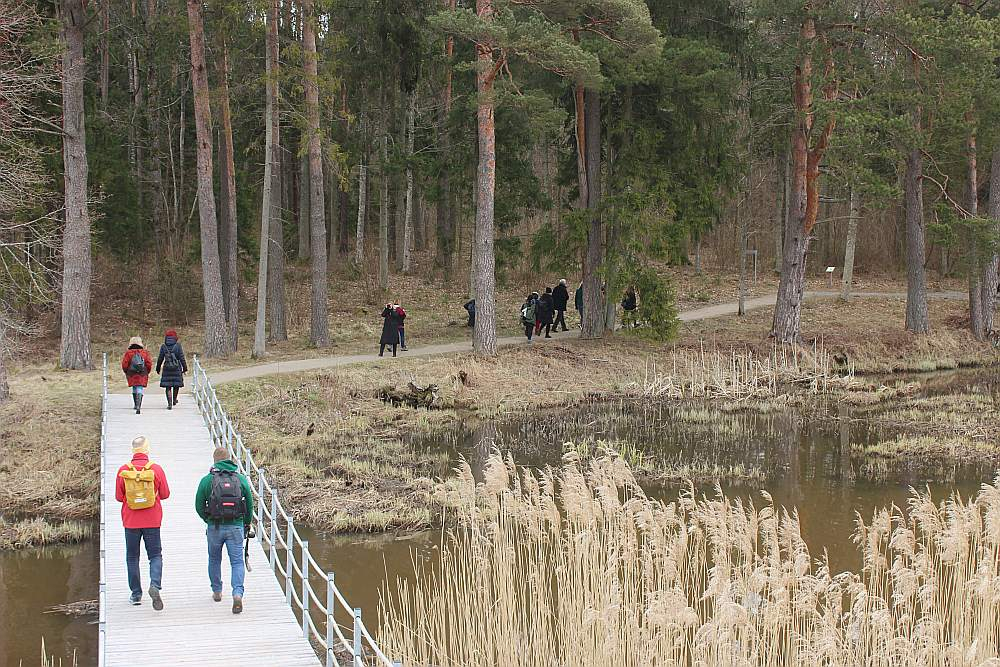 Kazdangas dabas taka piemērota garu pastaigu cienītājiem – tās kopgarums ir aptuveni deviņi kilometri, ietverot Valātas parku un Šēfera birzi abpus Kazdangas Dzirnezeram.