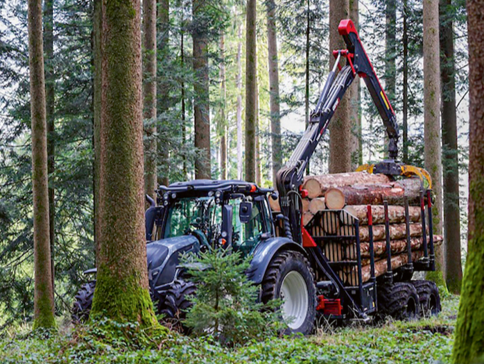 'Horsch Pirk Forestry'.