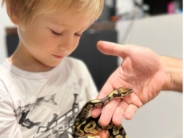 Brāļa Marko iegādāto ģimenes mīluli Roju Dominikam patīk ņemt rokās, viņš pitoniņu labprāt arī pabaro.