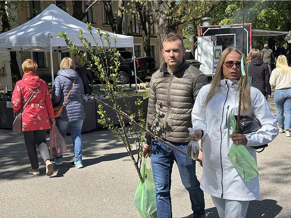 Pircēji Jelgavas stādu dienās tikuši pie kārotajiem stādiem.