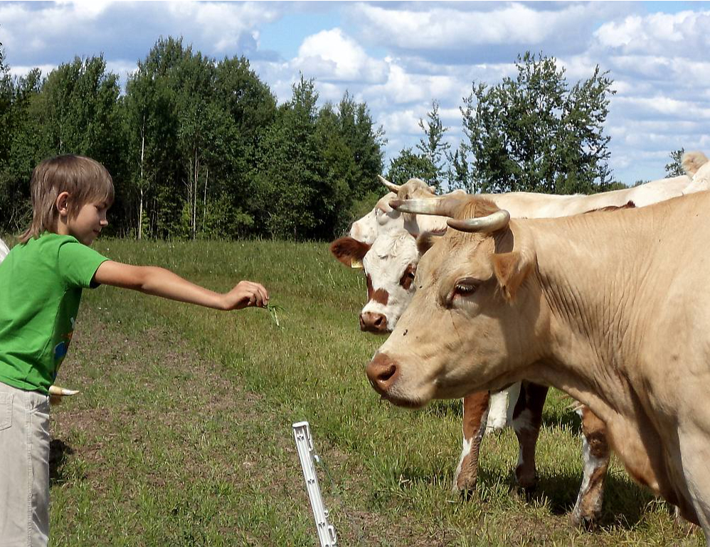 Daudzas zemnieku saimniecības izrādījās negatavas kukaiņu uzbrukumam.