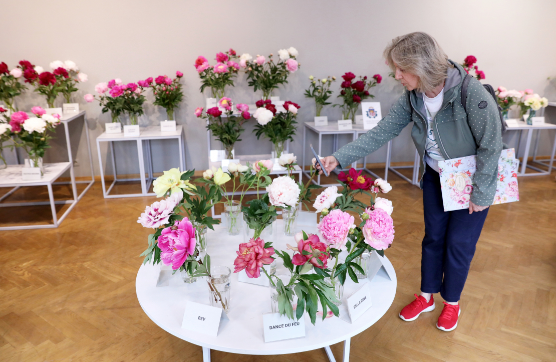 Izstāde "Peonijas 2025" Latvijas Dabas muzejā.