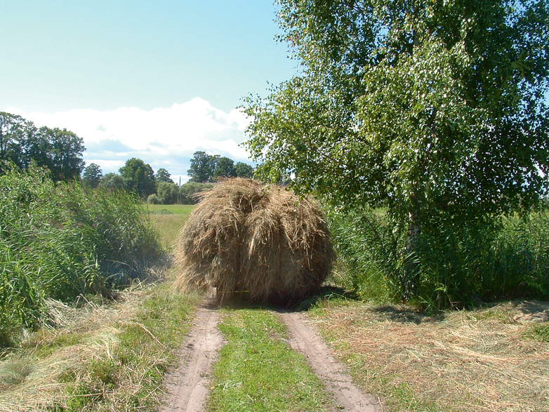 Lauku ainava.