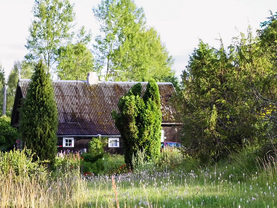 Lauku māja. ilustratīvs attēls.