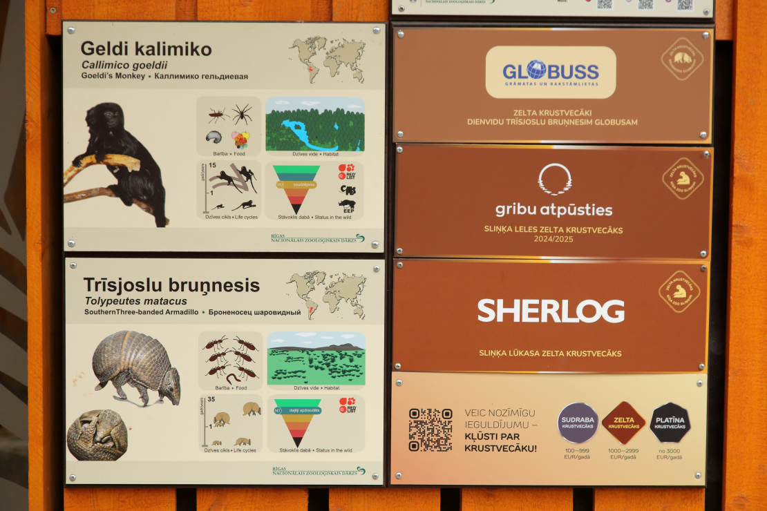 "Globuss” kļūst par bruņneša krustvecākiem Rīgas Zooloģiskajā dārzā.