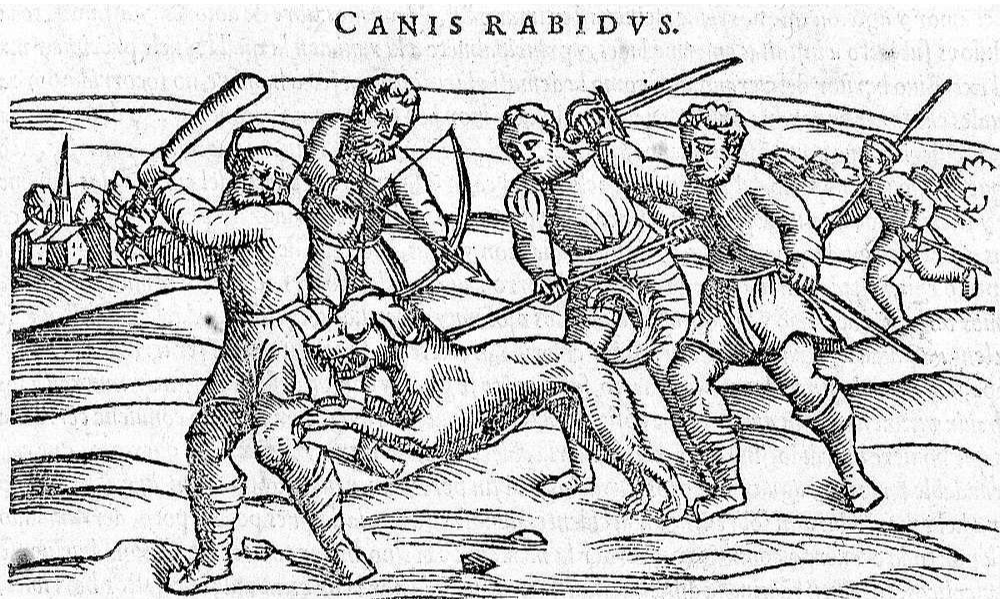 Zemnieki cīņā ar traku suni. 16. gs. gravīra.