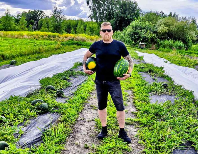 "No plānotajām četrām tonnām šogad arbūzu raža būs tikai 1,2 tonnas. Mūsu lauki atrodas netālu no Jūrmalas, un ražu galvenokārt negatīvi ietekmēja līča ziemeļu vēji. To dēļ jūnijā bites nevarēja palidot un nenotika apputeksnēšanas," stāsta Aldis Stabulnieks no Gātciema Mārupes novadā, kurš arbūzus lielākos apjomos audzē otro gadu.