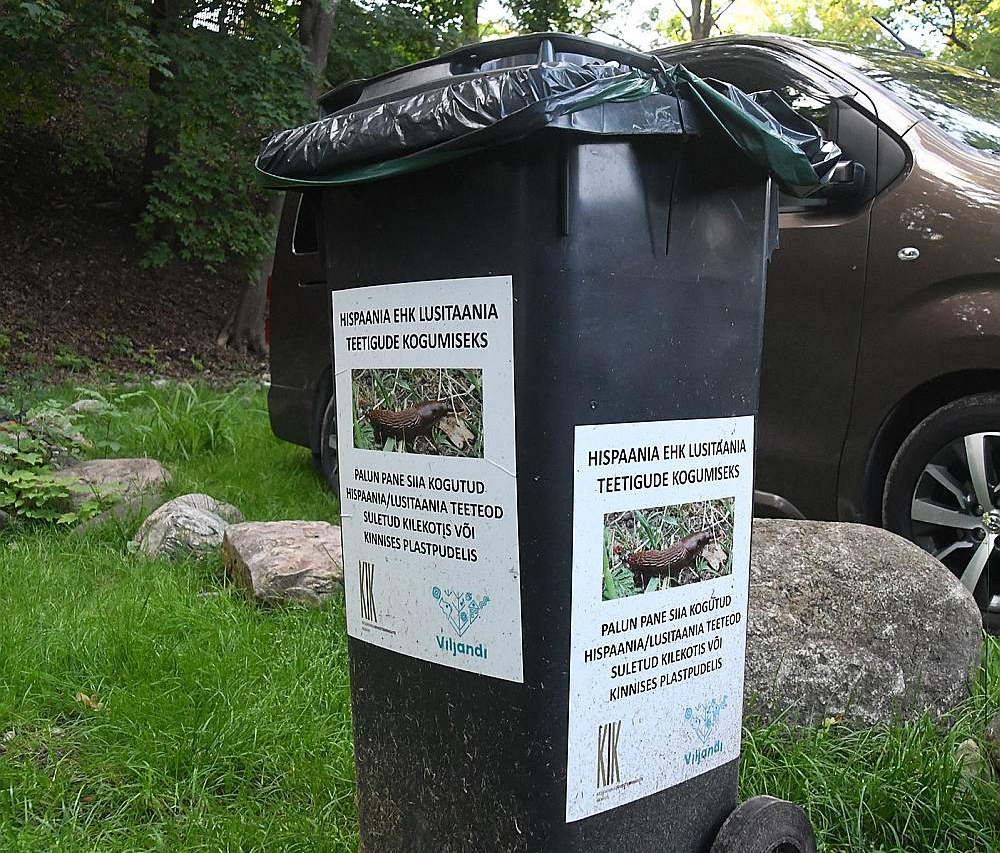 Speciālais konteiners Spānijas kailgliemežu savākšanai Vīlandē.