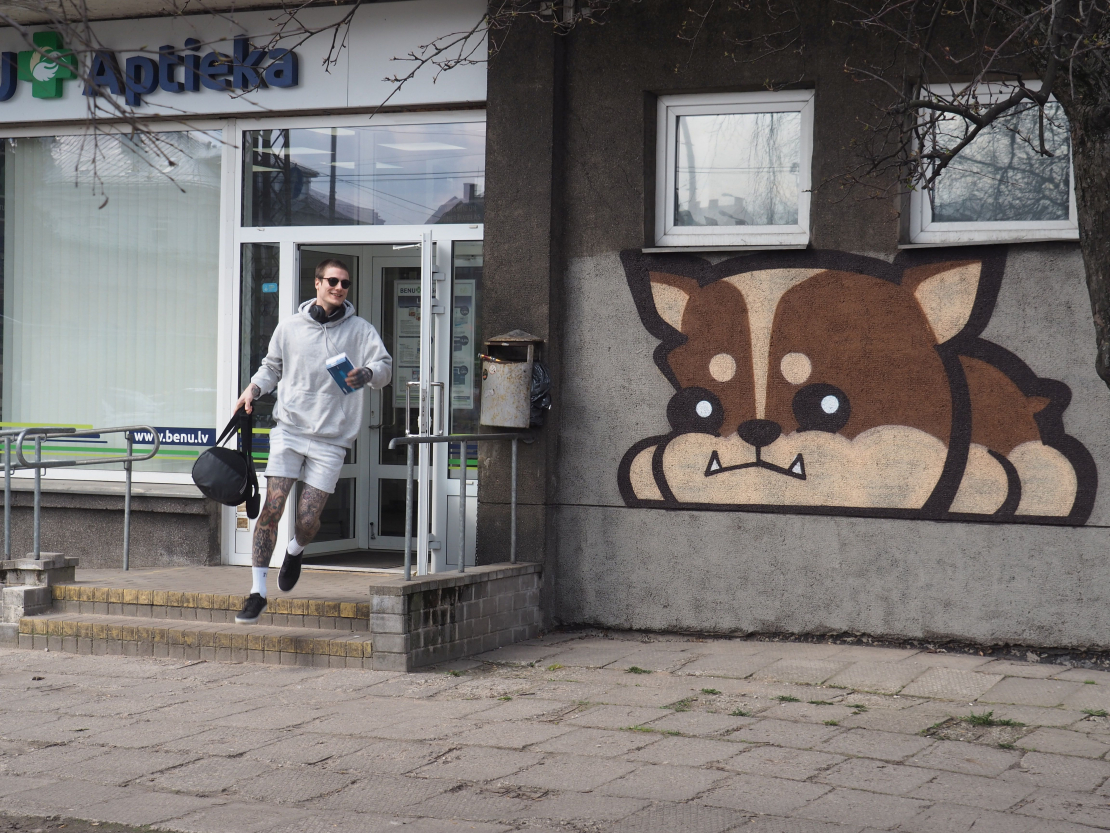 Grafiti iepretim Latvijas Nacionālās bibliotēkas ēkai.