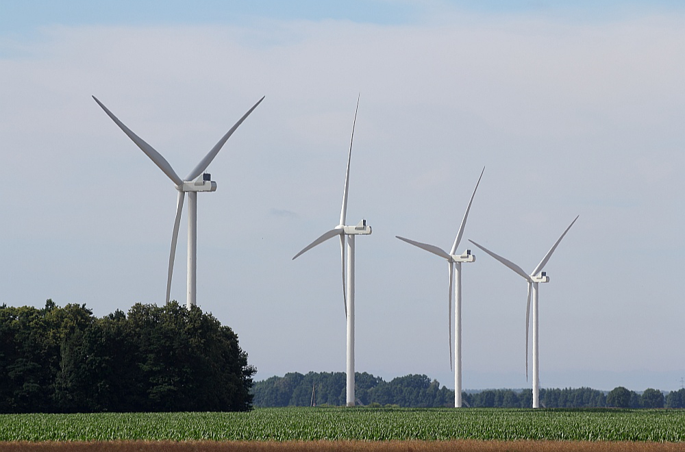 Latvijas plāni ražot pašiem savu elektroenerģiju vēja parkos un kļūt bagātākiem saskārušies ar negaidīti sparīgu daļas iedzīvotāju pretestību. Attēlā – vēja parks Tārgalē.