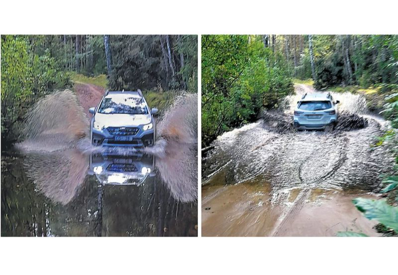 Ances purvu brasls – "Subaru" izbrauks.