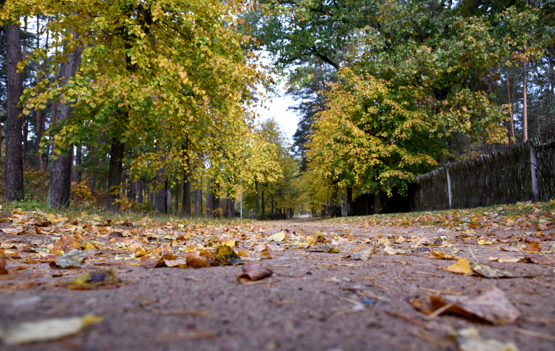 Rudens laiks. Brīvdabas muzejs.