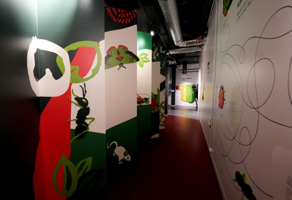 Vides izglītības centra "Botania" telpas Salaspilī.
