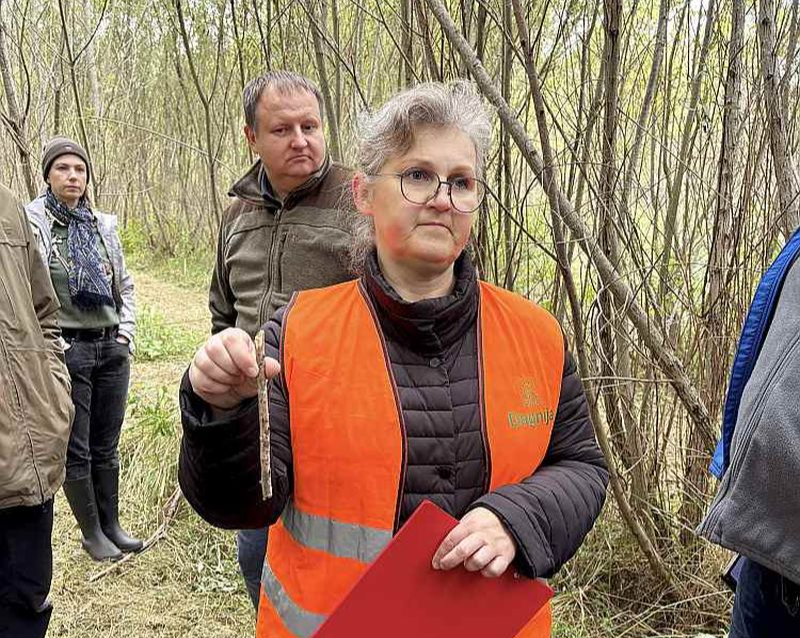"Silavas" vadošā pētniece Dagnija Lazdiņa kopā ar žurnālistiem ceļā uz papeļu stādījumiem.