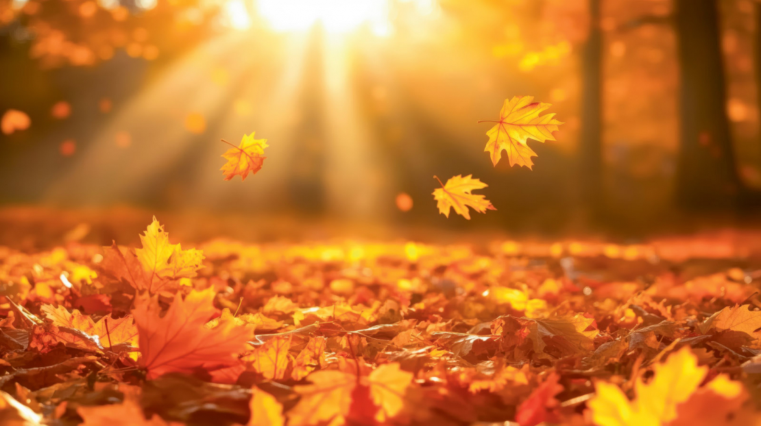Rudens.