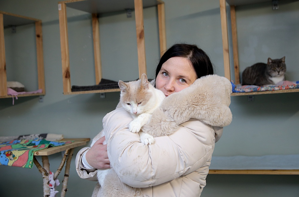 Dzīvnieku aizsardzības biedrības "Nika" vadītāja Inese Laukšteine: "Mums ir ļoti daudz adopciju, pēc dzīvniekiem brauc no visas Latvijas, arī no ārzemēm brauc. Domāju, ka no pašlaik patversmē esošajiem 70 kaķiem divu trīs mēnešu laikā visiem vai lielākajai daļai noteikti būsim sagādājuši jaunas mājas."