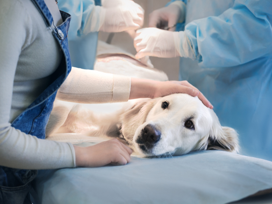 Ilustratīvs attēls.