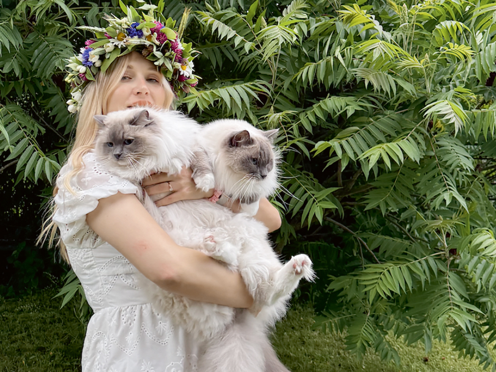 Alīna vēlējās baltu kaķīti ar zilām acīm, un tā nu nonāca līdz regdollu šķirnes kaķiem.