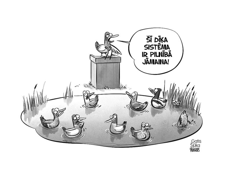 Zīmē Gatis Šļūka. Šī dīķa sistēma ir pilnībā jāmaina! 