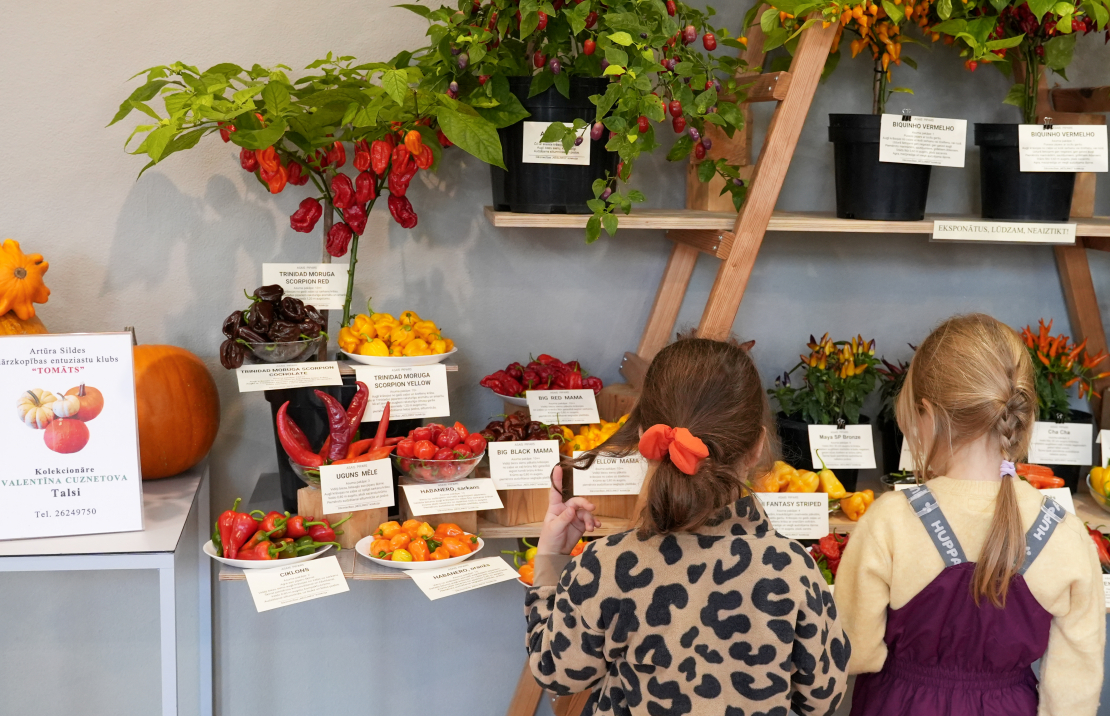 Izstāde "Ķirbjaugi un paprika 2025" Latvijas Nacionālajā dabas muzejā.