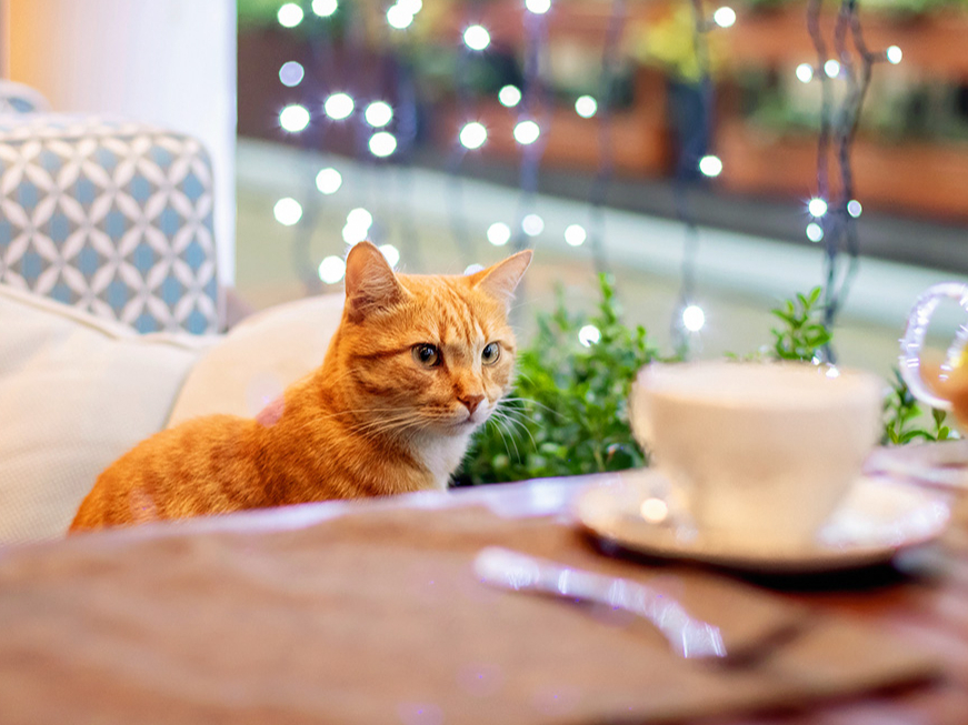 Ilustratīvs attēls.