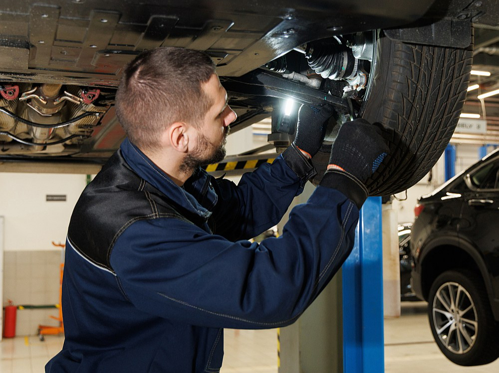 Visbiežāk kompetences novērtējumu kārto ēdināšanas un pārtikas ražošanas nozarēs, taču sertifikāti tiek izsniegti arī tūrisma pakalpojumu konsultanta, loģistikas darbinieka, mēbeļu galdnieka un automehāniķa profesijā.