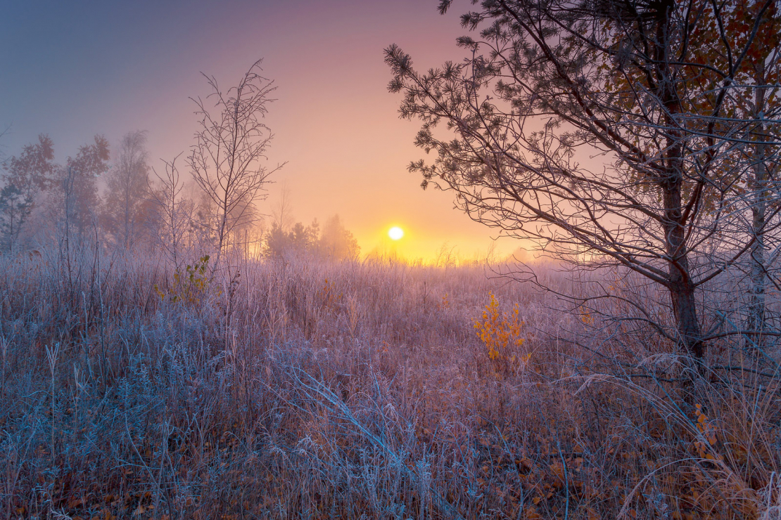 Burvīgs novembra rīts.