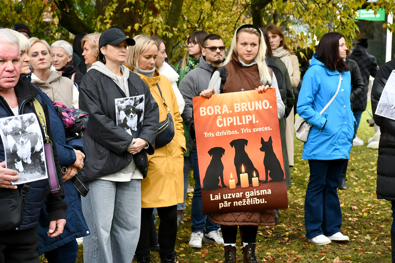 Piketētāji pieprasa Bauskas domnieku rīcību Brunavas pagastā nošauto suņu lietā.