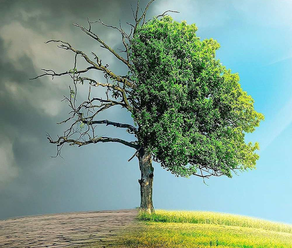 Pasaule jau šobrīd ir sasilusi par 1,3 grādiem, salīdzinot ar industriālās ēras sākumu, un iespējas apstāties pie pusotra grāda robežas, kā to paredz 2015. gada Parīzes līgums, ir samērā niecīgas. Lai to panāktu, 2035. gadā oglekļa emisijas būtu jāsamazina nevis par 10%, salīdzinot ar 2019. gadu, bet gan par 60%.