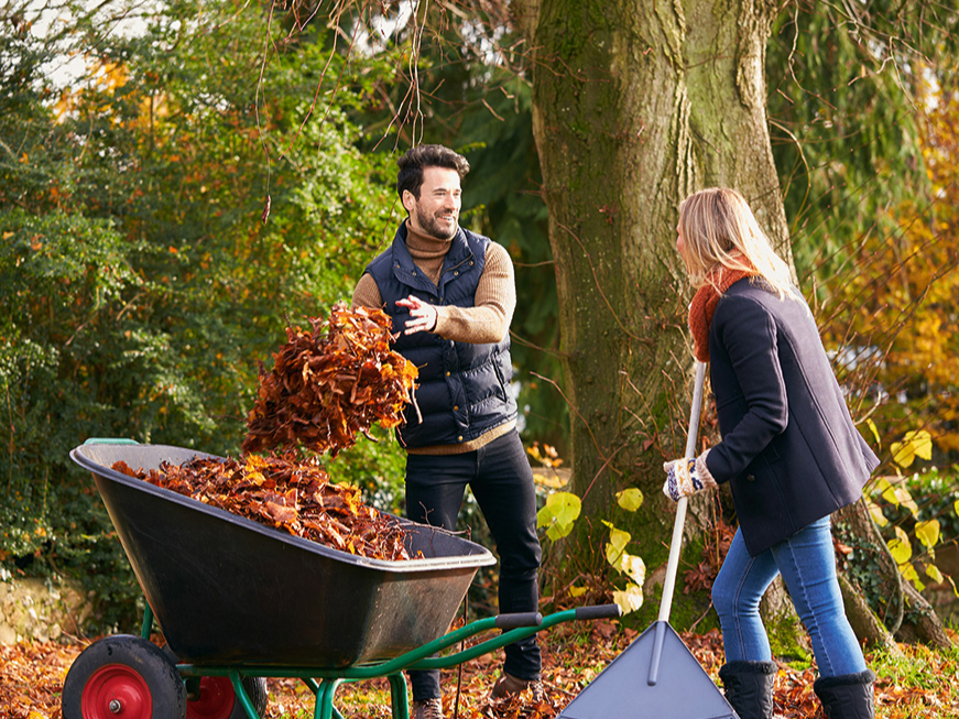 Plānojot lapu grābšanu, jāseko līdzi laika apstākļu prognozēm.