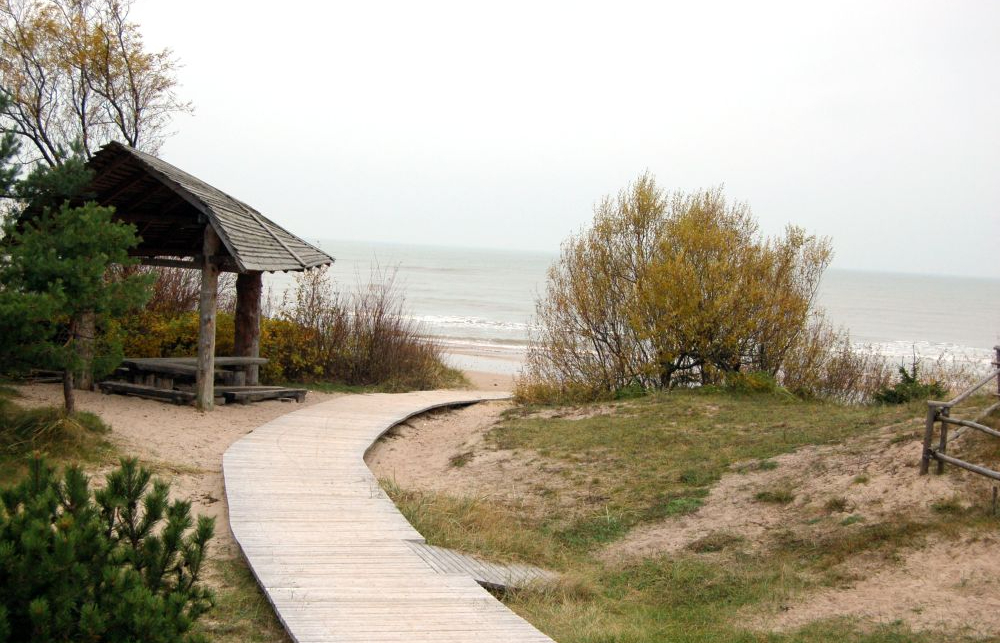 Pāvilostas pelēkā kāpa.
