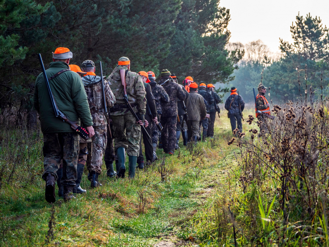 Sākusies dzinējmedību sezona...