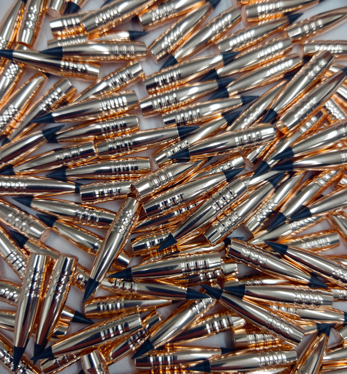 Anima libra ražotās lodes. Ir gan medībām, gan tālšaušanai domāti ložu modeļi.