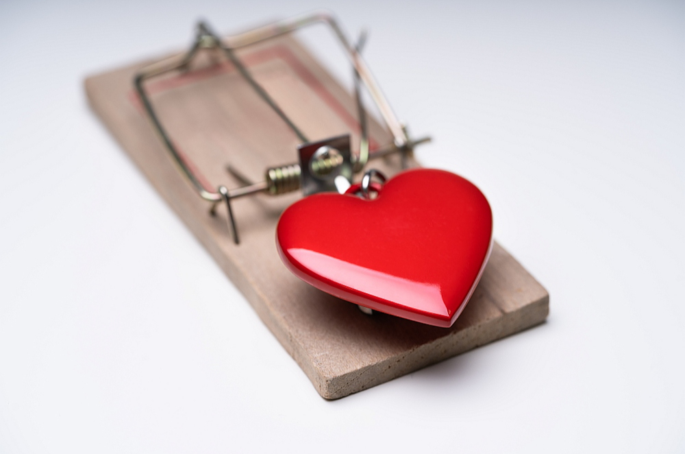 Ne visi cilvēki policijai ziņo, ja gadījies iekrist virtuālā romantiskā krāpnieka slazdā, – ir kauns par paša lētticību vai skepse, ka šādu noziegumu iespējams atklāt.