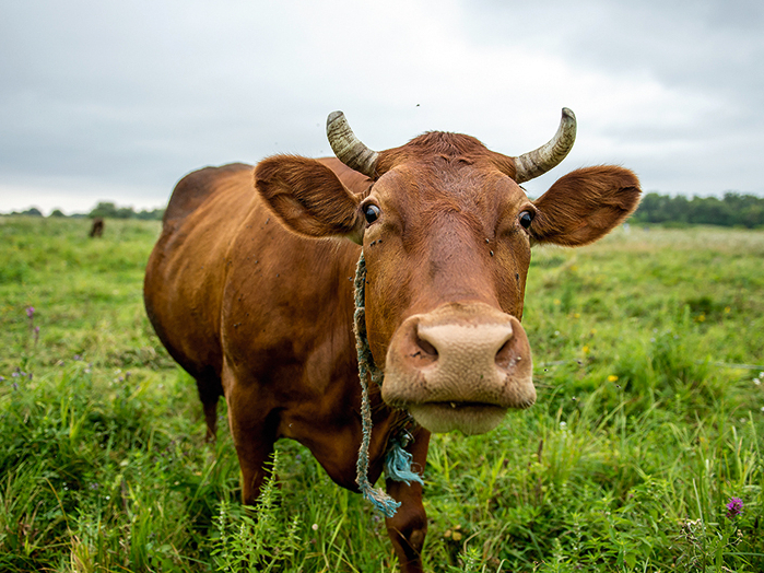 Ilustratīvs attēls.