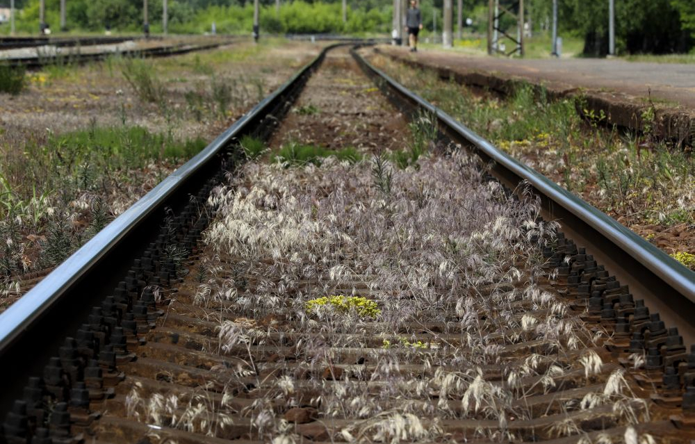 Ilustratīvs attēls.