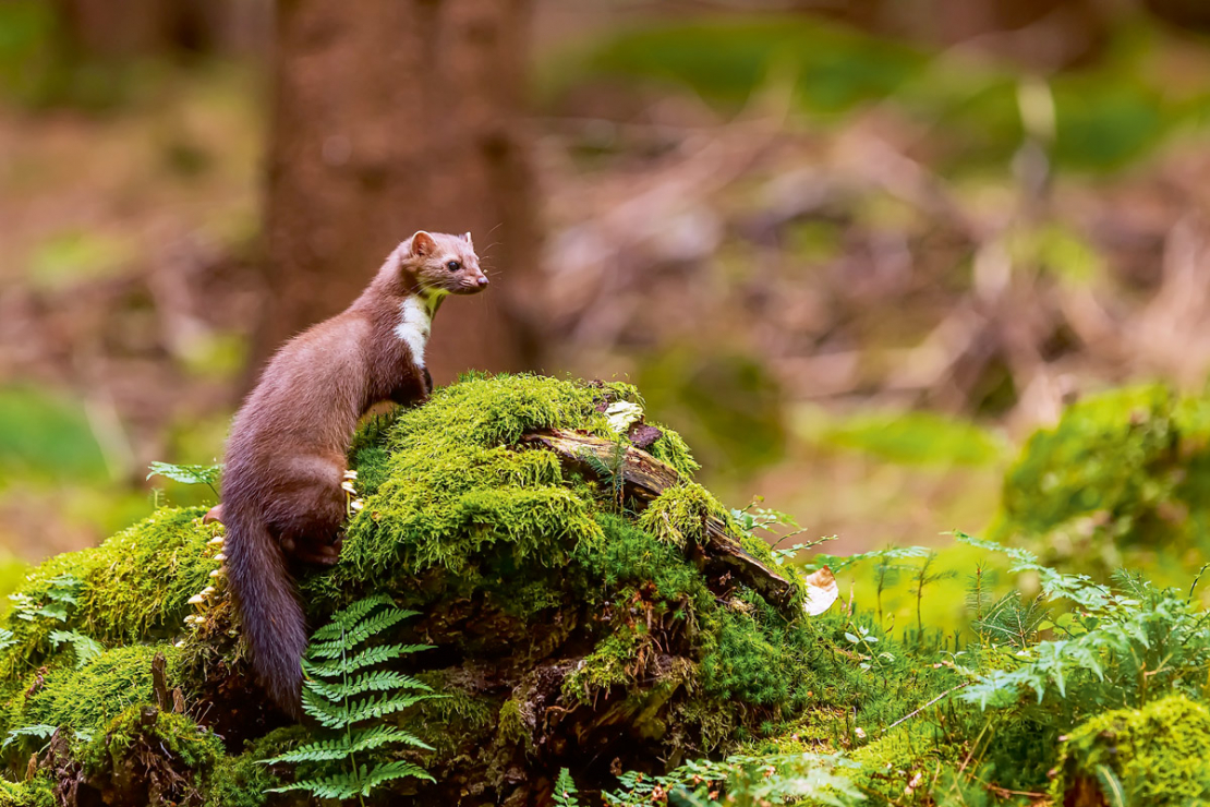 Ilustratīvs attēls.
