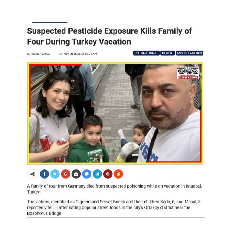 Bojāgājušie Cigdema un Servets Bodžeki ar bērniem Kadiru un Masalu bija turku izcelsmes Vācijas pilsoņi, kas dzīvoja Hamburgā. Uz Stambulu viņi bija atbraukuši atvaļinājumā. Sākotnējie ziņojumi lika spriest par saindēšanos ar pārtiku, taču vēlākie pierādījumi liecināja, ka ģimene ieelpojusi toksiskus pesticīdus. Varas iestādes izvirzījušas versiju, ka viesnīcā blakšu iznīcināšanai lietots alumīnija fosfīds, kas tiekot izmantots lauksaimniecībā, bet izmantošanai telpās kategoriski aizliegts, jo ir ļoti toksisks. "Deutsche Welle" arī ziņo, ka šis neesot pirmais gadījums – pērn arī kāda vācu tūriste esot mirusi no saindēšanās viesnīcā ar šo pesticīdu.