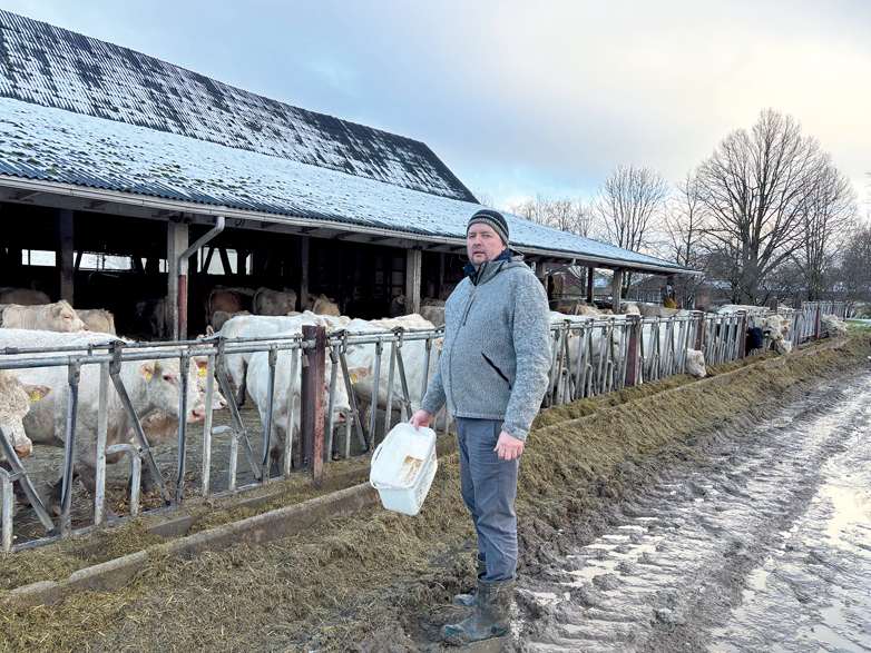 Kursīšu pagasta zemnieku saimniecības "Brūzilas AV" saimnieks Vilnis Štencelis un viņa dzīvesbiedre Agnese Arne–Štencele gaļas liellopu nozari ar diviem liellopiem sāka attīstīt 2015. gadā, dibinot SIA "Airene", kuras patiesā labuma guvēja ir Agnese. Vilnis uzsver, ka aizvadītajos gados abu – piena un gaļas lopu – saimniecību darbība ir cieši savijusies, tāpēc labākai atpazīstamībai reģistrēts zīmols "Brūzilu liellops". "Esmu uzkrājis zināmu pieredzi un labprāt ar to dalos. Ja kādam izdosies labāk nekā man, mācīšos. Vien tā varam attīstīties," teic saimnieks.