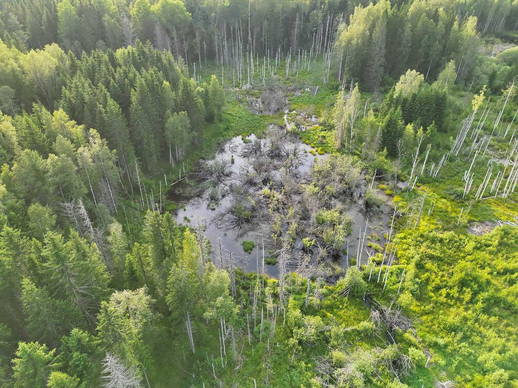 Bebru apmetnes no drona skata.